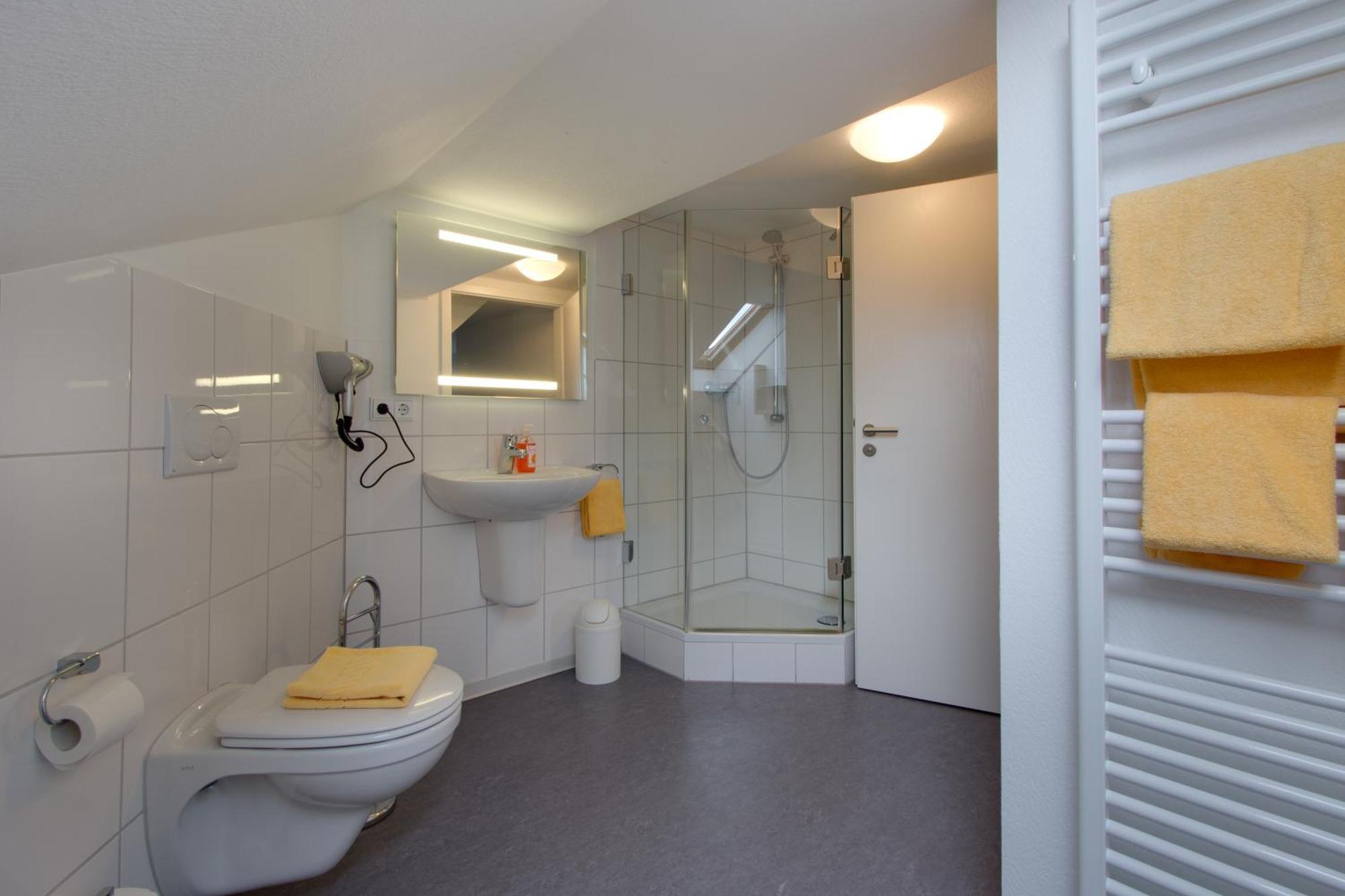 Bären Ochsenfurt
