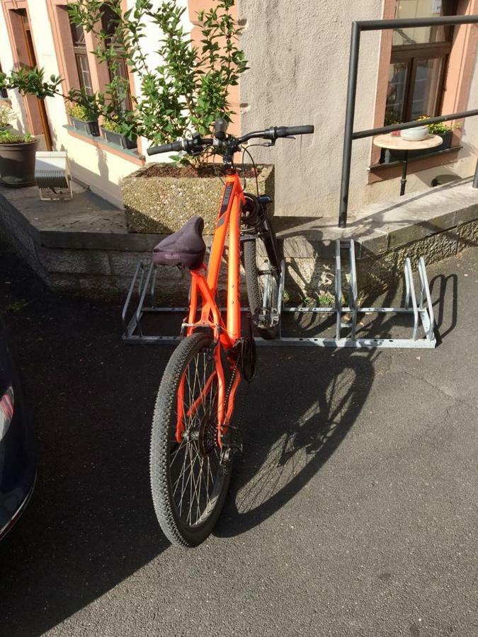 Bären 3*